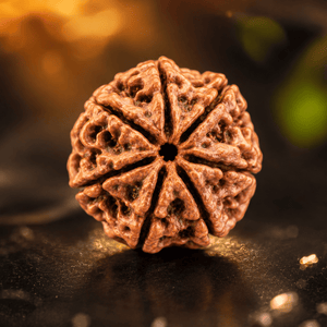 Rudraksha